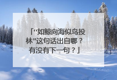 “如鲸向海似鸟投林”这句话出自哪？有没有下一句？