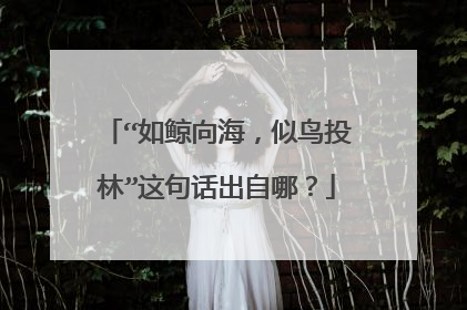 “如鲸向海，似鸟投林”这句话出自哪？