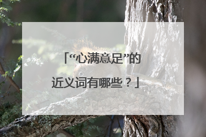 “心满意足”的近义词有哪些？