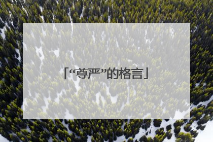 “尊严”的格言