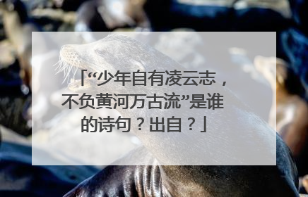 “少年自有凌云志，不负黄河万古流”是谁的诗句？出自？