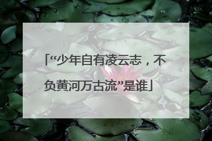 “少年自有凌云志，不负黄河万古流”是谁