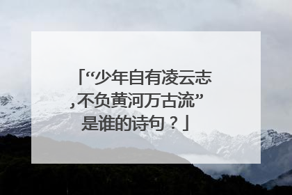 “少年自有凌云志,不负黄河万古流”是谁的诗句？