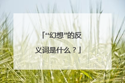 “幻想”的反义词是什么？