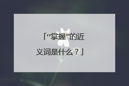 “掌握”的近义词是什么?