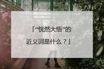 “恍然大悟”的近义词是什么?