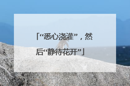 “悉心浇灌”，然后“静待花开”