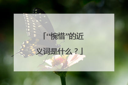 “惋惜”的近义词是什么？