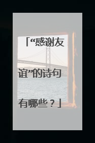 “感谢友谊”的诗句有哪些？