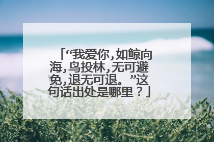“我爱你,如鲸向海,鸟投林,无可避免,退无可退。”这句话出处是哪里？