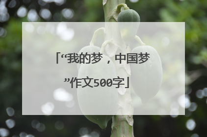 “我的梦，中国梦”作文500字