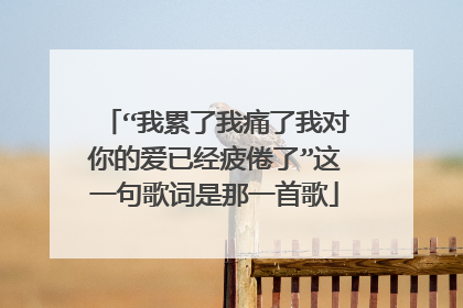 “我累了我痛了我对你的爱已经疲倦了”这一句歌词是那一首歌