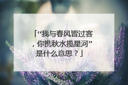 “我与春风皆过客,你携秋水揽星河”是什么意思?