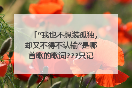 “我也不想装孤独,却又不得不认输”是哪首歌的歌词???只记得这些...
