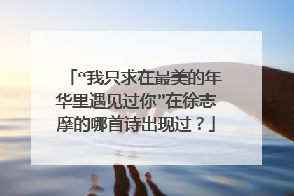 “我只求在最美的年华里遇见过你”在徐志摩的哪首诗出现过？