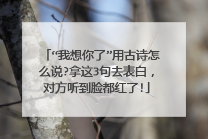“我想你了”用古诗怎么说?拿这3句去表白,对方听到脸都红了!