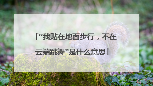 “我贴在地面步行，不在云端跳舞”是什么意思