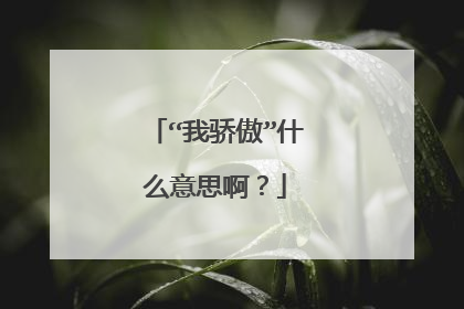 “我骄傲”什么意思啊?