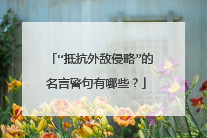 “抵抗外敌侵略”的名言警句有哪些？