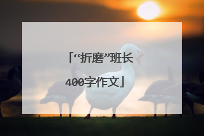 “折磨”班长400字作文