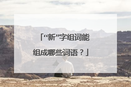 “新”字组词能组成哪些词语？