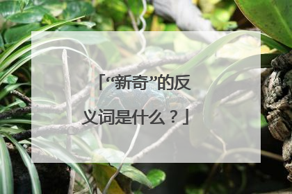 “新奇”的反义词是什么?