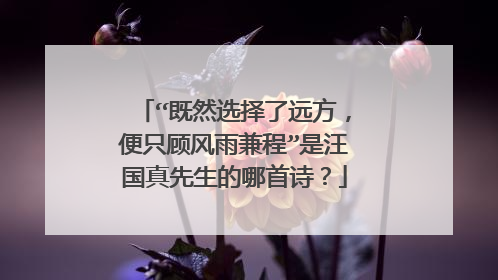 “既然选择了远方，便只顾风雨兼程”是汪国真先生的哪首诗？