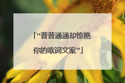 “普普通通却惊艳你的歌词文案”