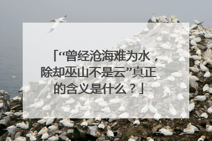 “曾经沧海难为水,除却巫山不是云”真正的含义是什么?