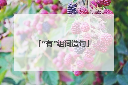“有”组词造句