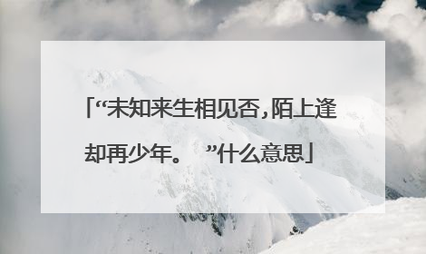 “未知来生相见否,陌上逢却再少年。 ”什么意思