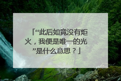 “此后如竟没有炬火,我便是唯一的光”是什么意思?
