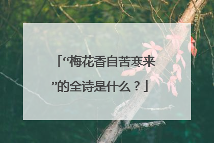 “梅花香自苦寒来”的全诗是什么?