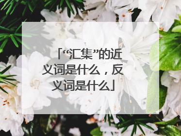 “汇集”的近义词是什么，反义词是什么