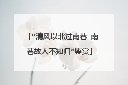 “清风以北过南巷 南巷故人不知归”鉴赏