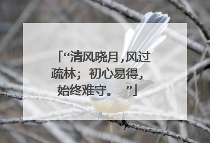“清风晓月,风过疏林; 初心易得,始终难守。 ”