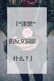 “漆黑”的反义词是什么？