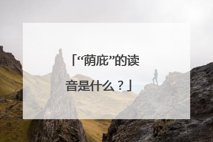 “荫庇”的读音是什么?