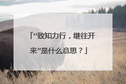 “致知力行,继往开来”是什么意思?