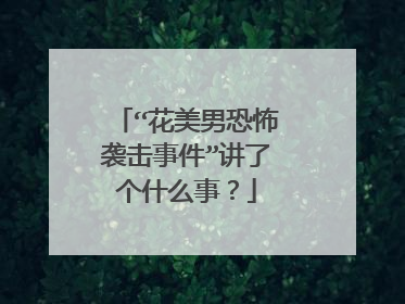 “花美男恐怖袭击事件”讲了个什么事?