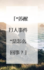 “苏醒打人事件”是怎么回事?