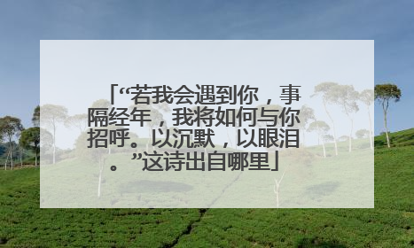 “若我会遇到你,事隔经年,我将如何与你招呼。以沉默,以眼泪。”这诗出自哪里