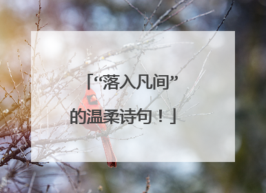 “落入凡间”的温柔诗句!