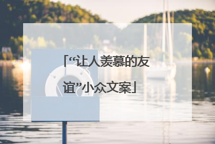 “让人羡慕的友谊”小众文案