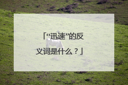 “迅速”的反义词是什么？