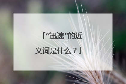 “迅速”的近义词是什么?