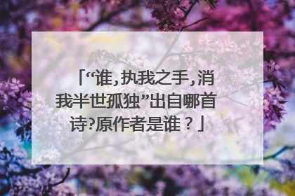 “谁,执我之手,消我半世孤独”出自哪首诗?原作者是谁？