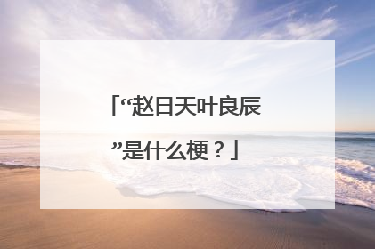 “赵日天叶良辰”是什么梗？