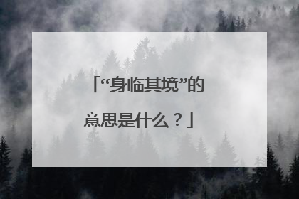 “身临其境”的意思是什么？