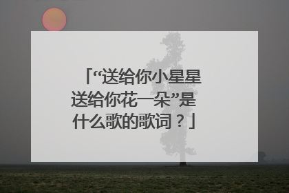 “送给你小星星送给你花一朵”是什么歌的歌词？